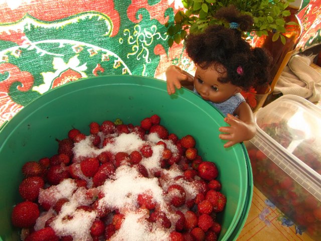 Мишельки на даче. Куклы Rosemarie Anna Muller