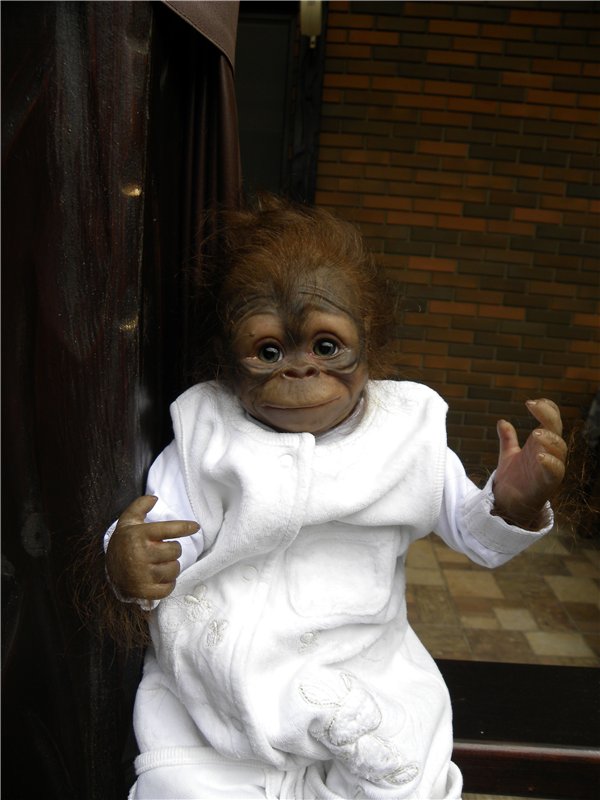 Необычное пополнение в моем доме (фото 6)