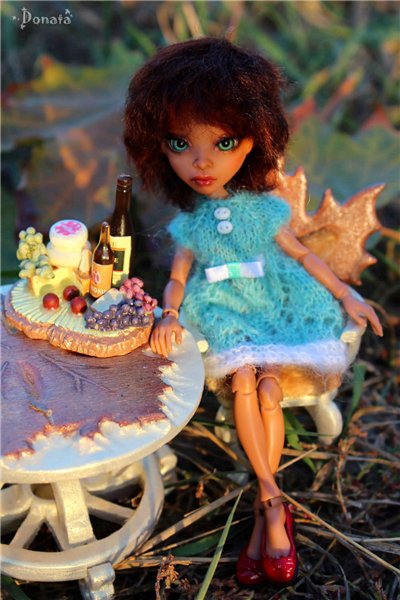 Амигатомания набирает обороты (фото 7)