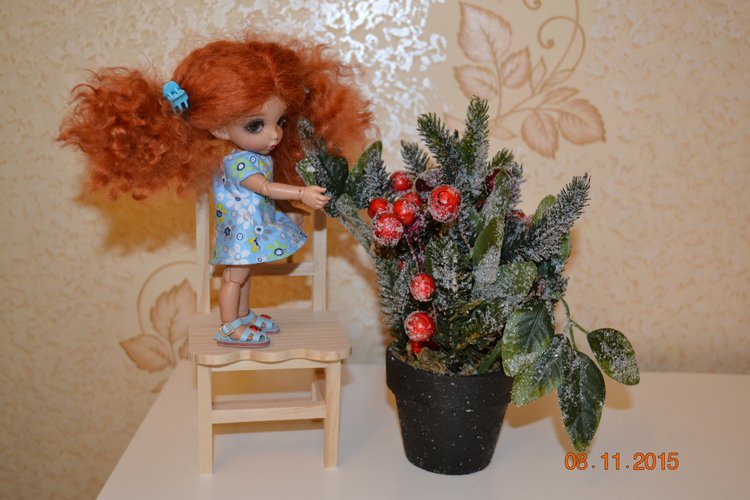 Такие чудные ПукиФи - наш новый член семьи