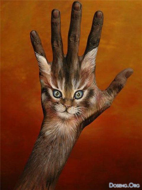 Кошачий позитив — Интересное и необычное: фотоподборки
