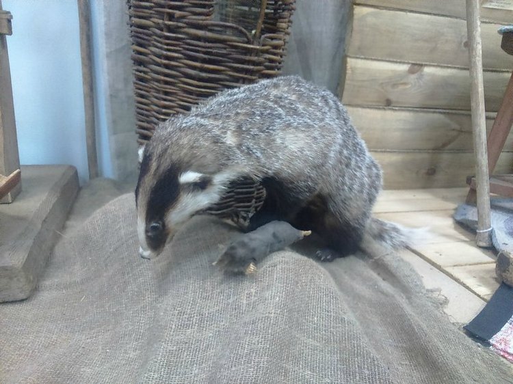 Воткинск — родина гения музыки Петра Ильича Чайковского. Часть 3 (фото 8)