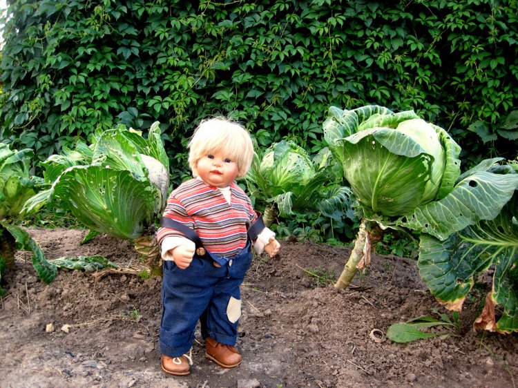 Выходные в деревне. Эдер - коллекционна кукла Susi Eimer (фото 4)