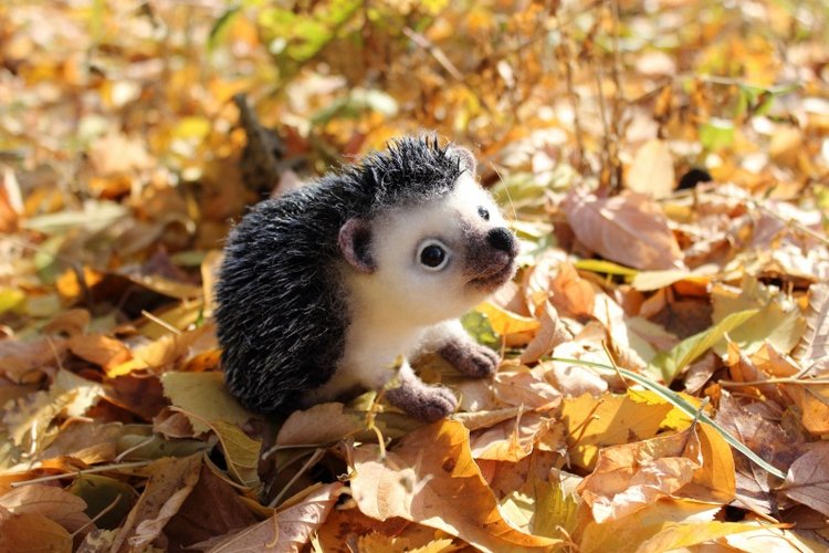 Ежуня. Валяние из шерсти — Валяные игрушки из шерсти: сухое валяние (фото 3)