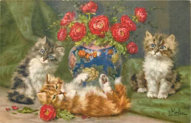 Пекрасное III - коротенько о котиках Merlin (фото 3)