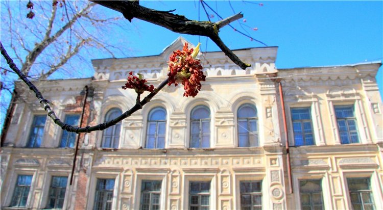 Путешествие в Бежецк — Культура