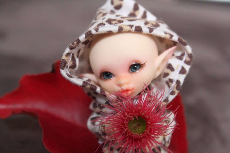 Осень в Австралии — Одежда и обувь для кукол BJD (БЖД): 1/3