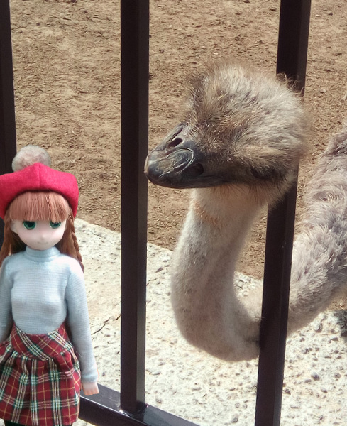 Тинка в экопарке — Куклы и тела Obitsu (Обитсу): 1/6 (фото 3)