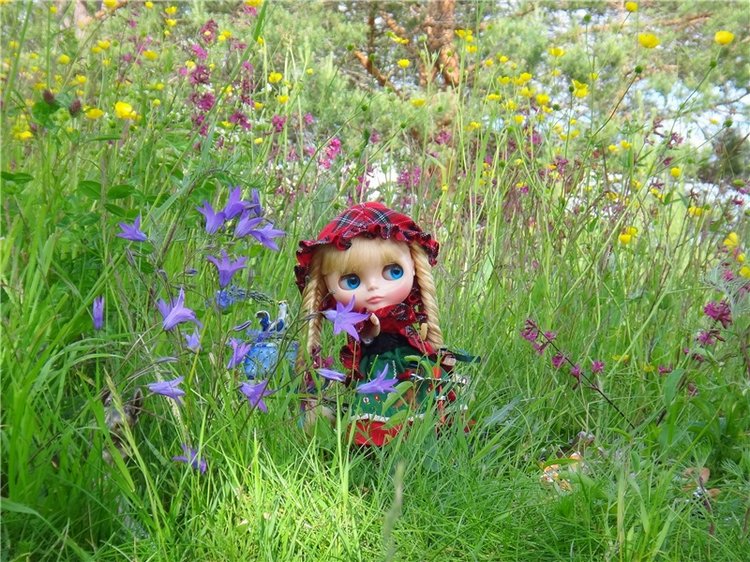 Путешествие в Сказку — Оригинальные куклы Blythe (Блайз): Takara