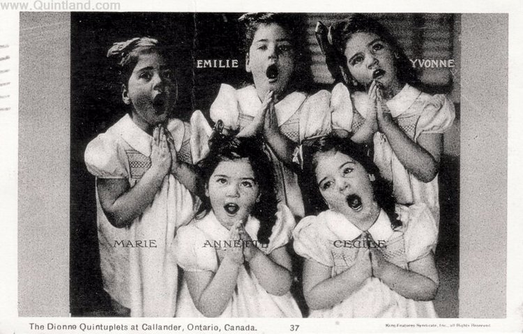 История трагической жизни, ставшая фурором кукольного мира . Часть 3 Заключение