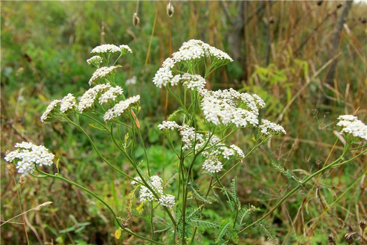 Тверской Водопад — Туризм и путешествия: фотоотчеты из поездок
