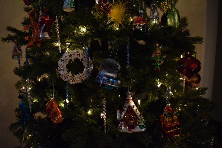 Болталка и разговоры обо всем: жизнь