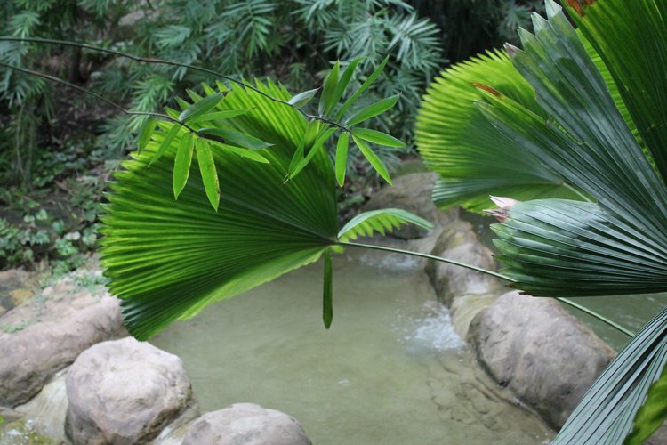 По Германии: зоопарк Лейпцига, часть 2