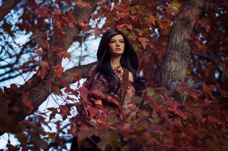 Душа Осени | Бэйбики Душа Осени — Куклы Iplehouse (Иплхаус): BJD (БЖД) (фото 10)