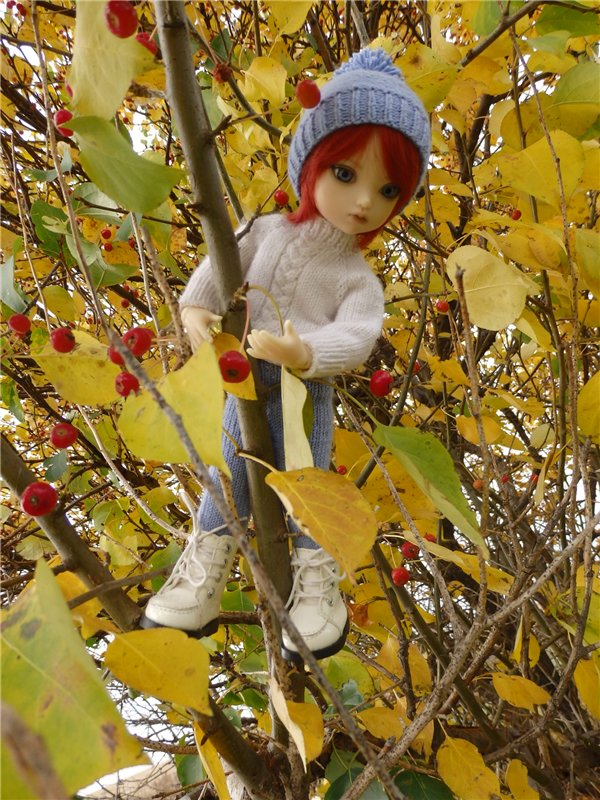 Хорошо быть маленькой | Бэйбики Хорошо быть маленькой — Куклы Iplehouse (Иплхаус): BJD (БЖД) (фото 7)