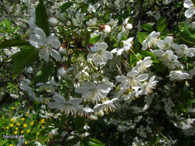 После дождичка в четверг — Болталка и разговоры обо всем: жизнь (фото 7)