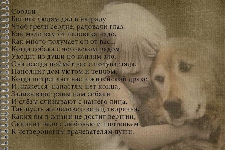 Памятники собакам в разных странах