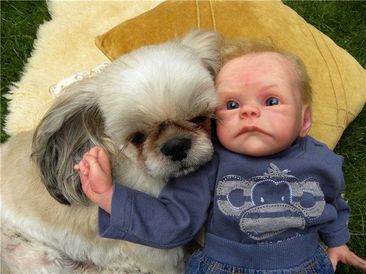 Мой не запланированный Лягушонок реборн