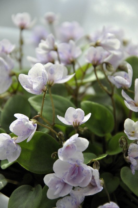 Еще немного о сумасшествии (фото 5)