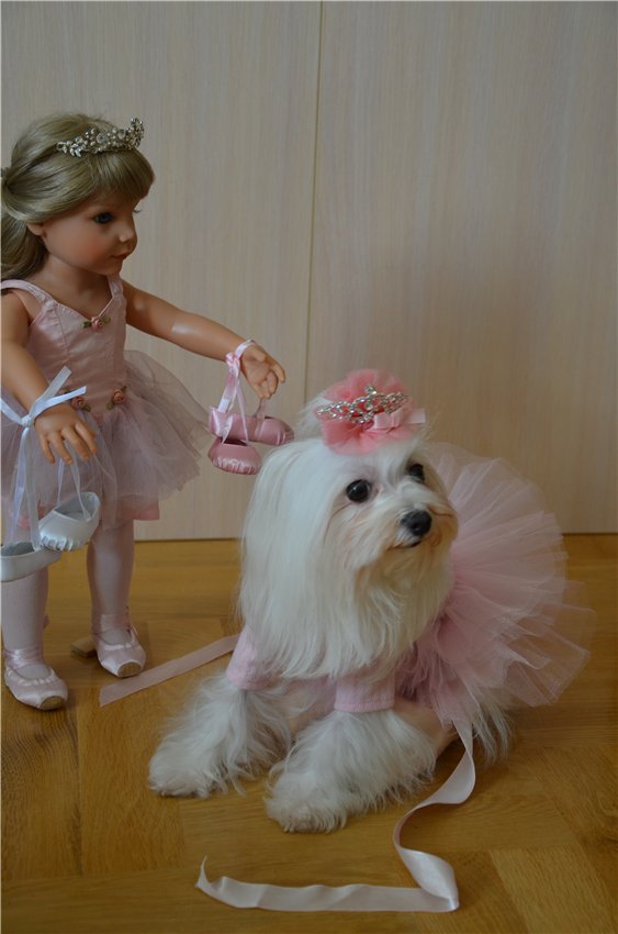 Балерина Хлоя или наше участие в конкурсе "Кукла и питомец" (фото 10)