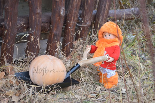 Неугомонные. Вихтели Rosemarie Anna Muller (фото 8)