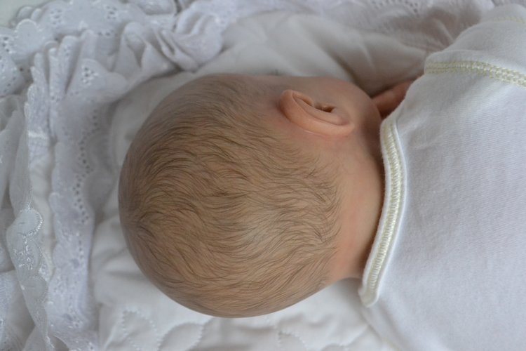 Кто то у меня сегодня родился... предположительно девочка реборн