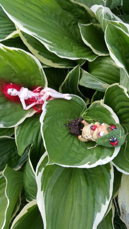 Катрина и волшебный лес - 4 (фото 6)