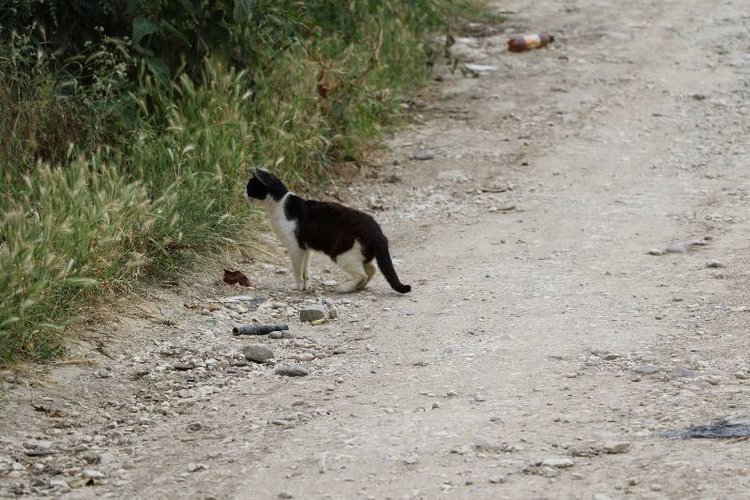 Те, кто нас любит и в домашнем халате, и без косметики, и растрепанными | Бэйбики Те, кто нас любит и в домашнем халате, и без косметики, и растрепанными