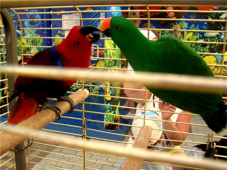 Лето. Солнце. Море. Всё смешалось - звери, куклы. Часть2 | Бэйбики Лето. Солнце. Море. Всё смешалось - звери, куклы. Часть2