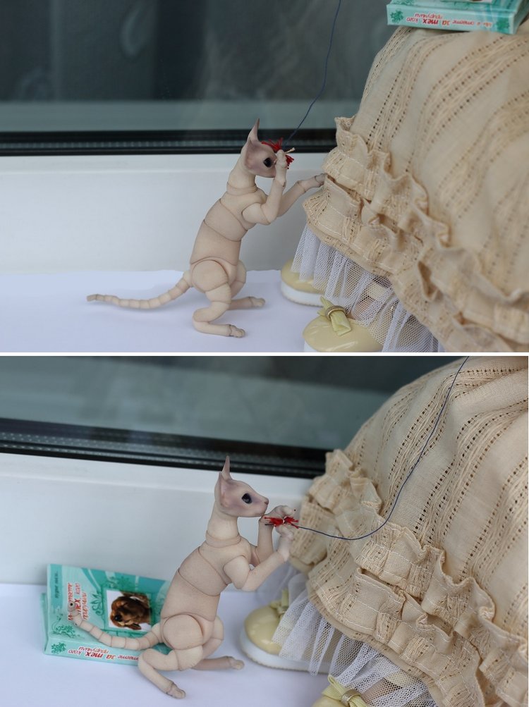 Жизнерадостный Кот и мечтательная Лайла (фото 4)