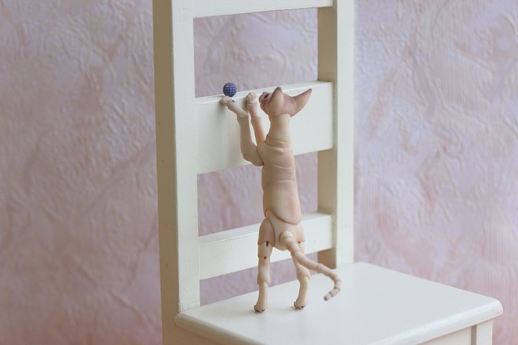 Кот играет с мячиком — Разные куклы BJD (БЖД): редкие бренды (фото 4)