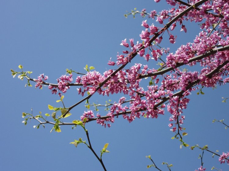 Первое мая. Сложно быть бунтарем, когда ты - милая девочка
