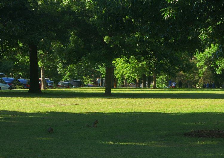 Субботняя прогулка — Болталка и разговоры обо всем: жизнь