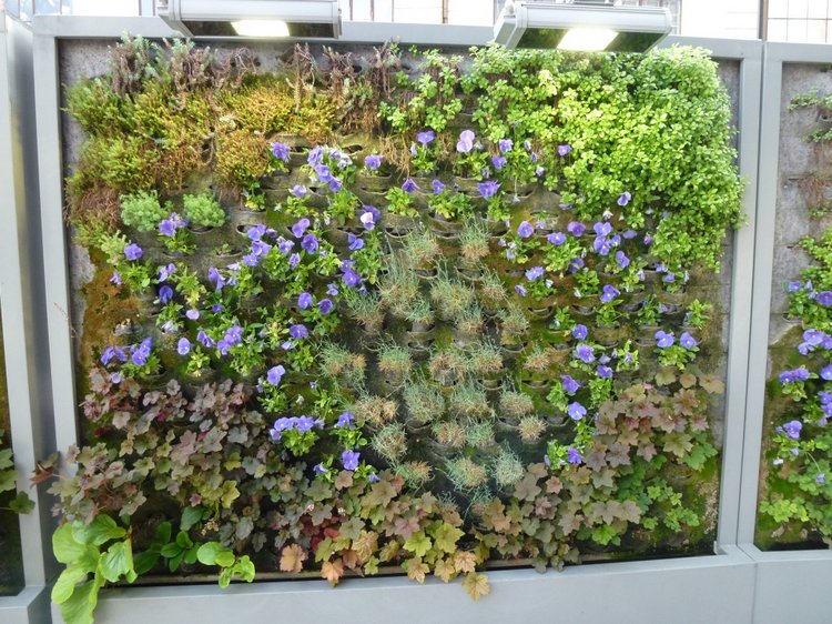 Немного о Белграде, Сербия