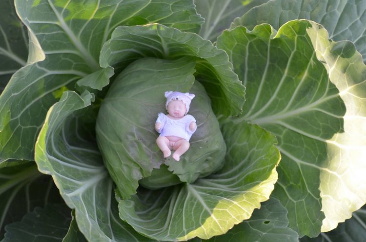 Крошка 4 см в образе Цветочная малышка (фото 5)