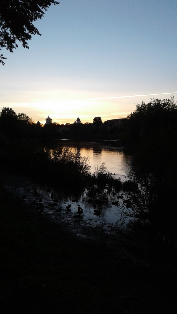 Зимнее солнце. Глава 6. Дом там, где сердце