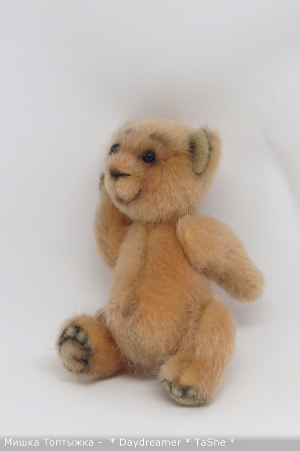 Позитивный мишка по имени Топтыжка (фото 10)