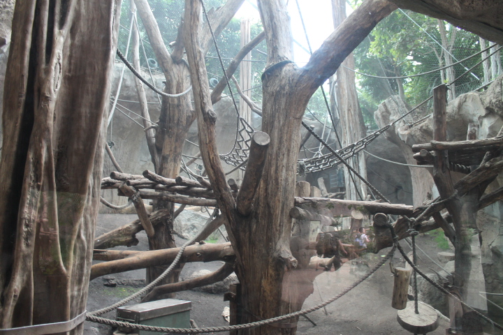 По Германии: зоопарк Лейпцига, часть 3