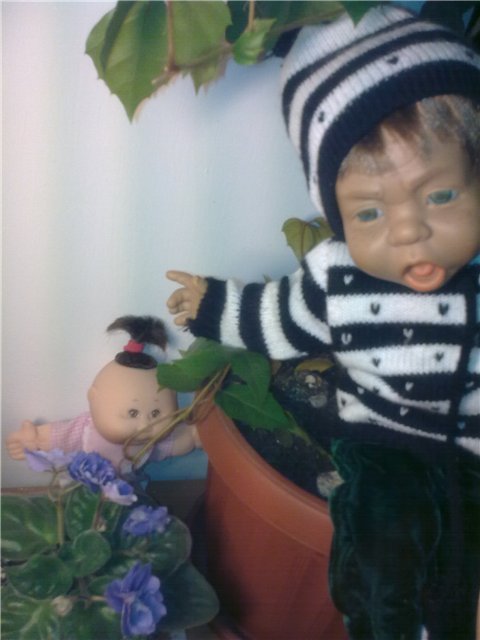 Капустинки играют в прятки (фото 7)