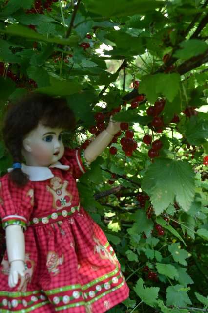 Мое новое увлечение: антикварные куклы (и реплики)