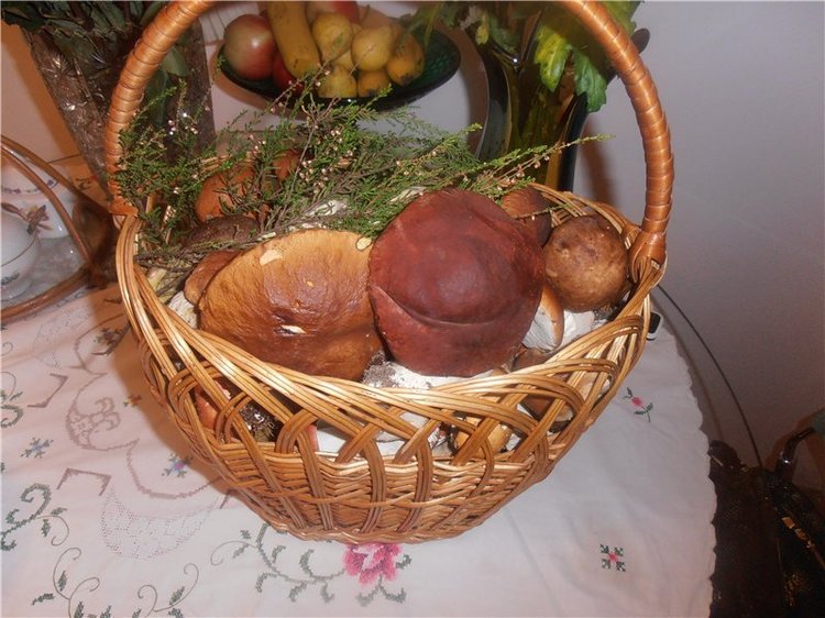 Любителям природы и походов за грибами