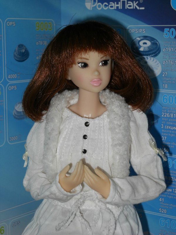 Моя коллекция кукол формата 1:6 (Барби, Кены, Динамитки, Момоко, J-Doll, Поппи Паркер и Монстры)