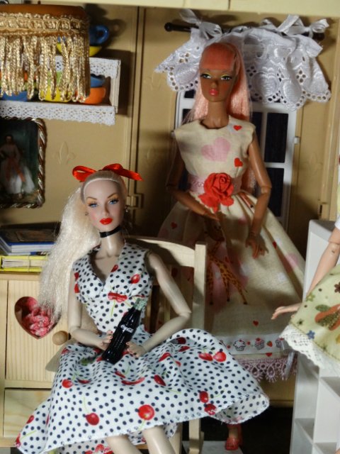 Дом в котором живут красотки (фото 5)