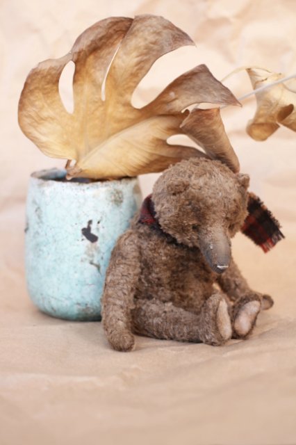 Старенький мишка Анис. Авторская игрушка Татьяны Матляк (фото 6)