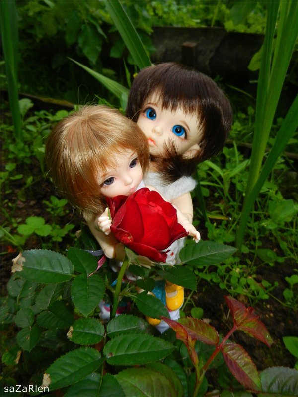 Варвара путешевственница (Литтлфи Анте)