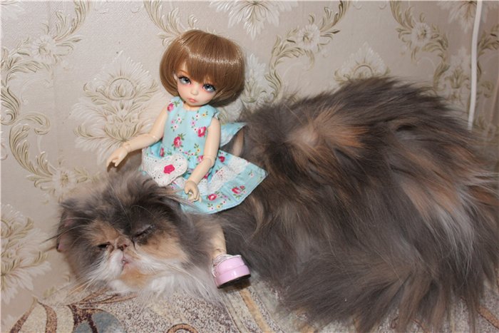 Поздравление с Новым Годом от Маняши. Кукла БЖД Литлфи Анте