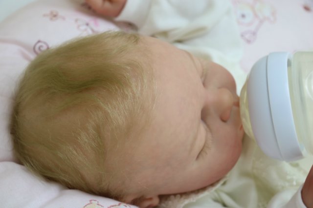 Ноашечка. Куколка реборн Виктории Вишни