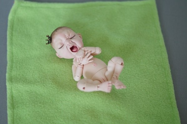 Необыкновенный младенчик от Лели Дубровиной (фото 7)