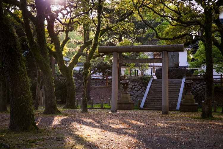 Япония моими глазами (часть 3. Китакюсю и Токио.) (фото 3)