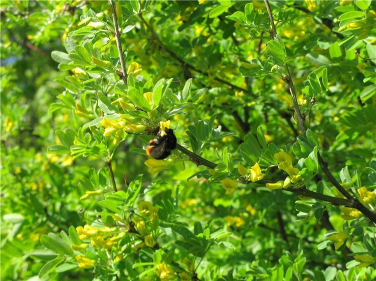 Субботний вояж. Заключительная часть